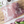 Certified Organic Beef Brisket