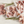 Certified Organic Soup Bones - 10kgs (Pay for 7kgs)